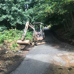Garden cleaning - Gardening and Landscaping Services