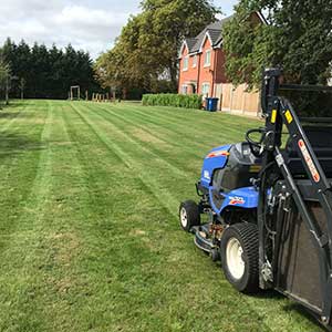 Garden cleaning - Gardening and Landscaping Services