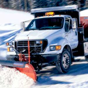 Garden cleaning - Gardening and Landscaping Services